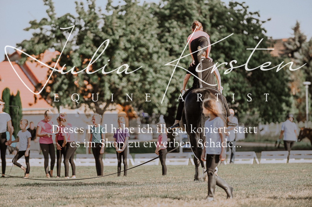 DSC_9915 | Pferde- und Turnierfotografie in Westsachsen. Pferdeportraits, Auftragszeichnungen und intuitive Kunst.