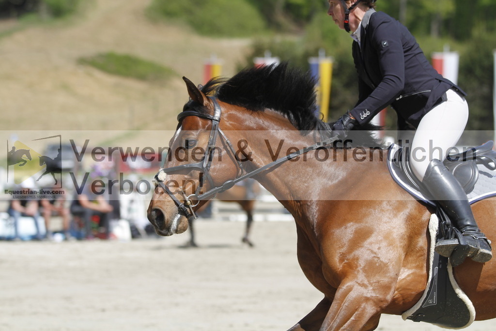 _MG_5501 | equestrian-live-com