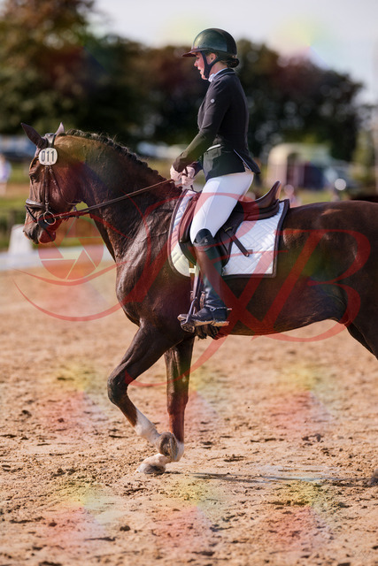 2026_10_03_Siefer-Hof_132229_Z81_71719312 | Professionelle Reitsport-, Turnier- und Eventfotografie von Robert Broda. Galerien mit ausgewählten und bearbeiteten Bildern direkt online ansehen und bestellen.