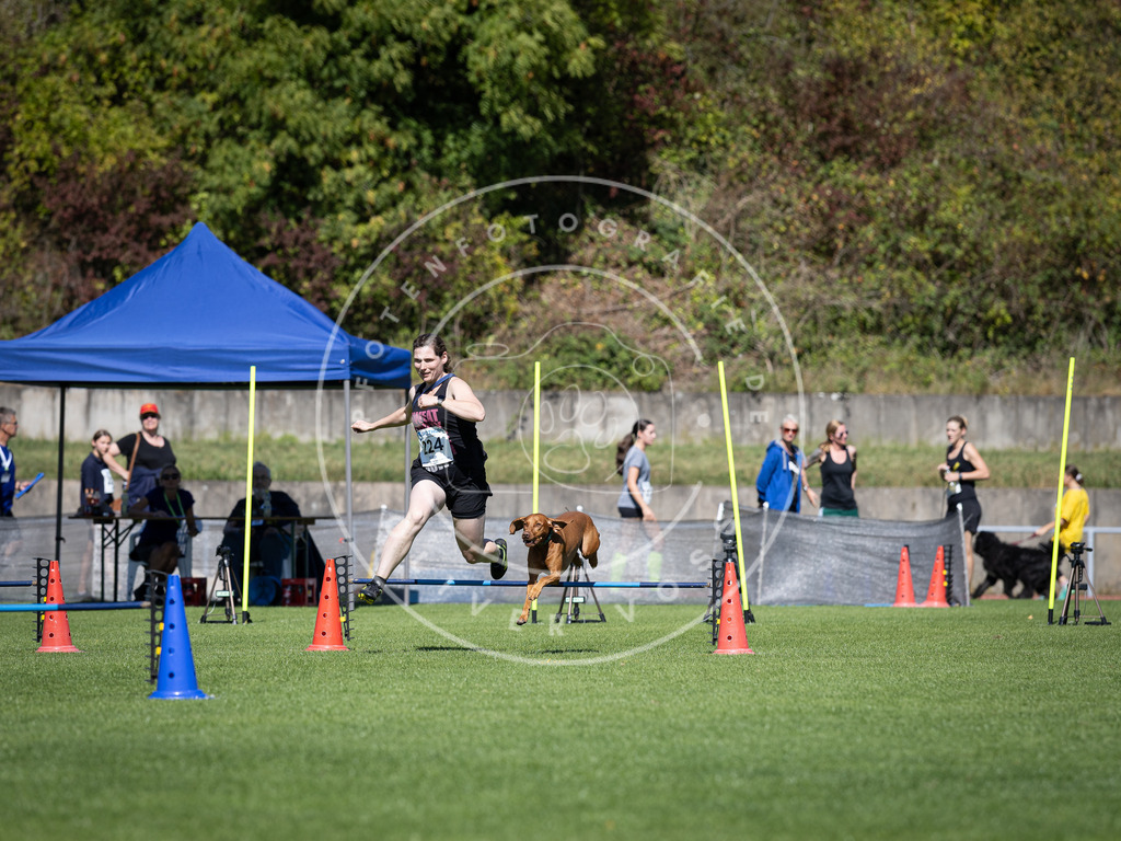 Pfotenfotografie_DV3A5501 | Hundefotografie, Tierfotograf, Pfotenfotografie, Fotoshooting Hund, Hunde Portrait, Hundesport, Hundeportraits, Heideshooting, Hunde, Sportfotograf, Hundefotograf, Turnierhundsport, THS,  - Realisiert mit Pictrs.com