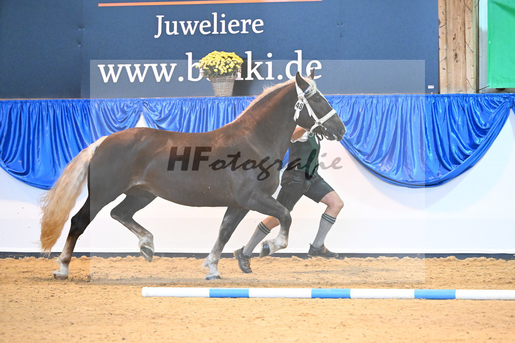 Kat-Nr. 48 Ute_Mayr_53220048 | hf-fotografie - Realisiert mit Pictrs.com