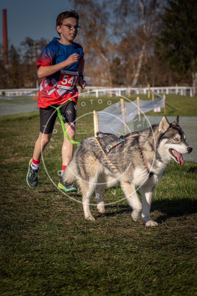 CaniXpix_0L8A7589 | Hundefotografie, Tierfotograf, Pfotenfotografie, Fotoshooting Hund, Hunde Portrait, Hundesport, Hundeportraits, Heideshooting, Hunde, Sportfotograf, Hundefotograf, Turnierhundsport, THS,  - Realisiert mit Pictrs.com