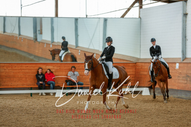 _62_7830 | Turniersportfotografie; Pferdefotografie; Dressurfotografie