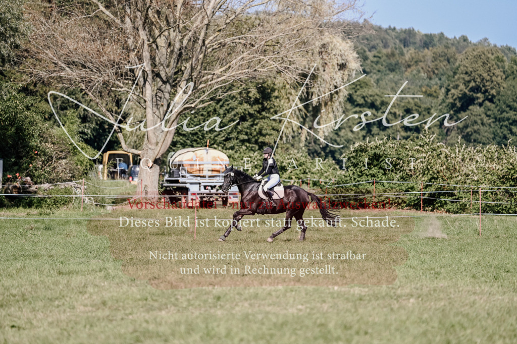 DSC_3510 | Pferde- und Turnierfotografie in Westsachsen. Pferdeportraits, Auftragszeichnungen und intuitive Kunst.
