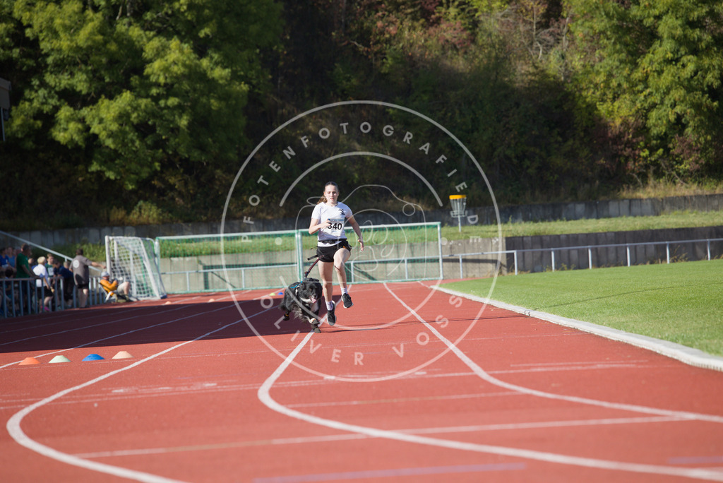 0L8A8852 | Hundefotografie, Tierfotograf, Pfotenfotografie, Fotoshooting Hund, Hunde Portrait, Hundesport, Hundeportraits, Heideshooting, Hunde, Sportfotograf, Hundefotograf, Turnierhundsport, THS,  - Realisiert mit Pictrs.com