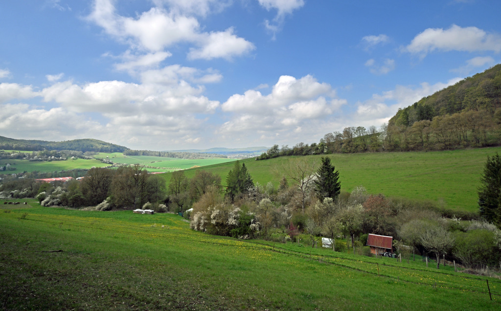 LandschaftNeubrunn02p | lucisnaturbilder - Realisiert mit Pictrs.com