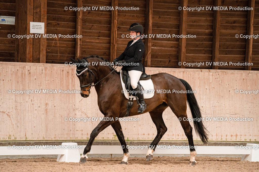 Dressur Tag 1 -131 | dv-media-shop - Realisiert mit Pictrs.com