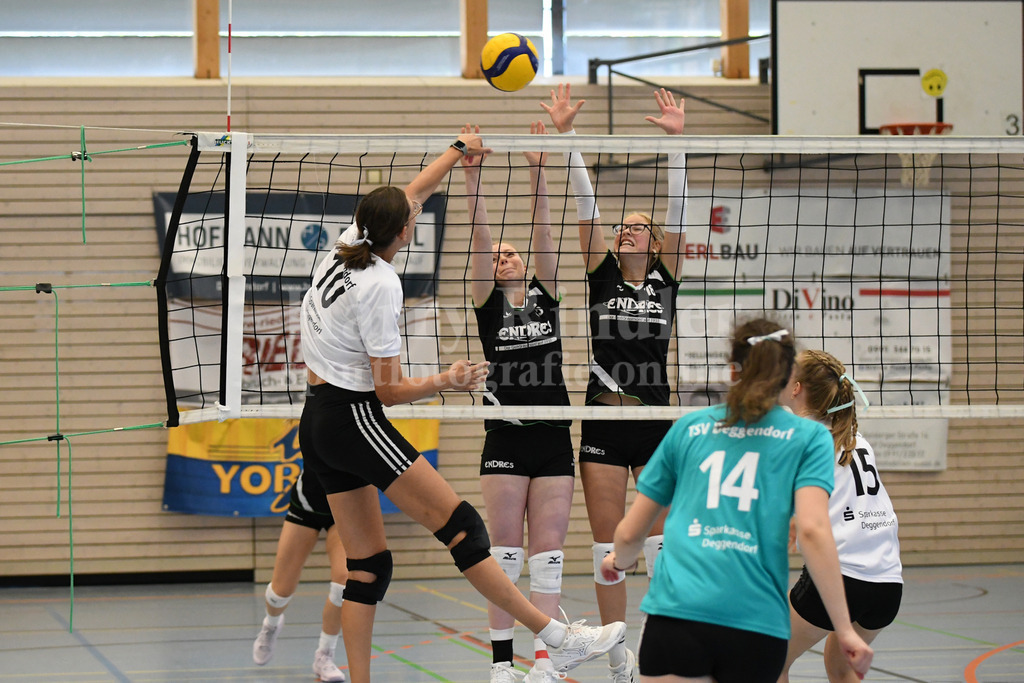 TSV Deggendorf Damen : Wilde Wespen Steinach | TSV Deggendorf Damen : Wilde Wespen Steinach - Realisiert mit Pictrs.com
