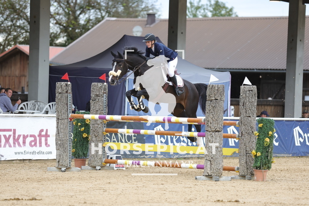 0P6A0041 | Willkommen bei Brunnmayr - Design & Fotografie – Ihrem Spezialisten für Reitturniere und Pferdeveranstaltungen in Oberösterreich, Salzburg und Bayern! Seit über 17 Jahren sind wir leidenschaftlich dabei.