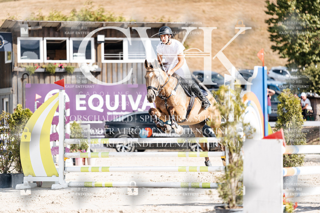 CK909164 | Turnierfotografie Pferdefotografie Trier Rheinland-Pfalz Pferdesport Reitsport Tierfotografie Sportfotografie Pferdevideo Pferdevideografie Equestrianvideography equestrianphotography  - Realisiert mit Pictrs.com