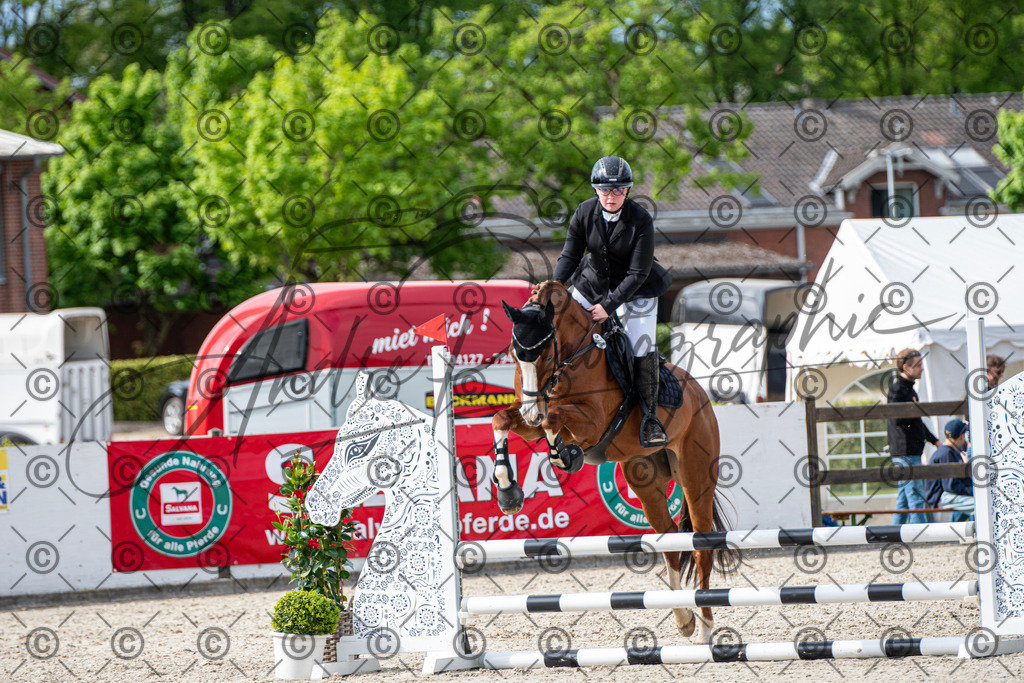 KPT_6572 | andre_photographic