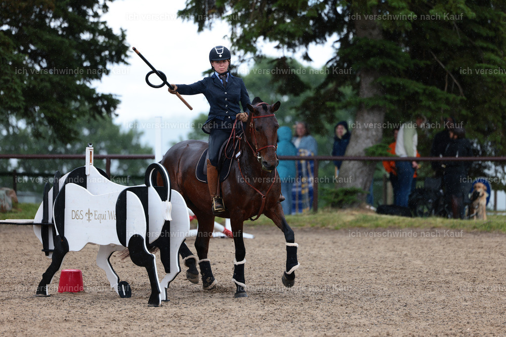 KlasseL_Stoibphotography_CAM23253.JPG | working equitationturnier fotograf videograf stoibphotography marixx film working equitation deutschland reitsport turnierfotografie eventfotografie equestrian events