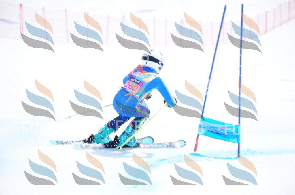 DSC_6344 | holidayphoto