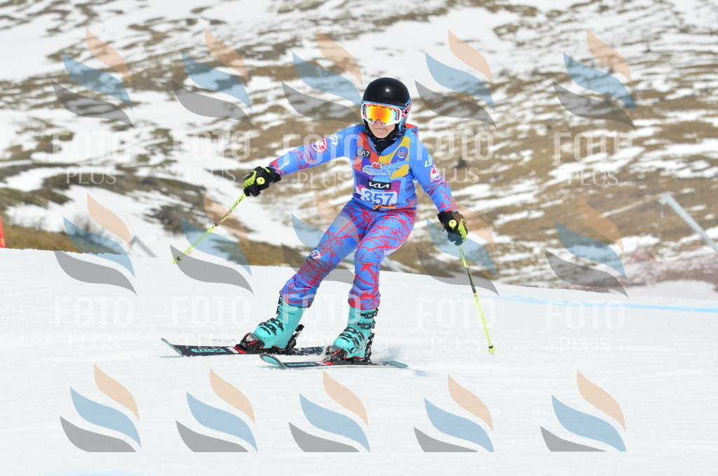 _ELE2780 | holidayphoto