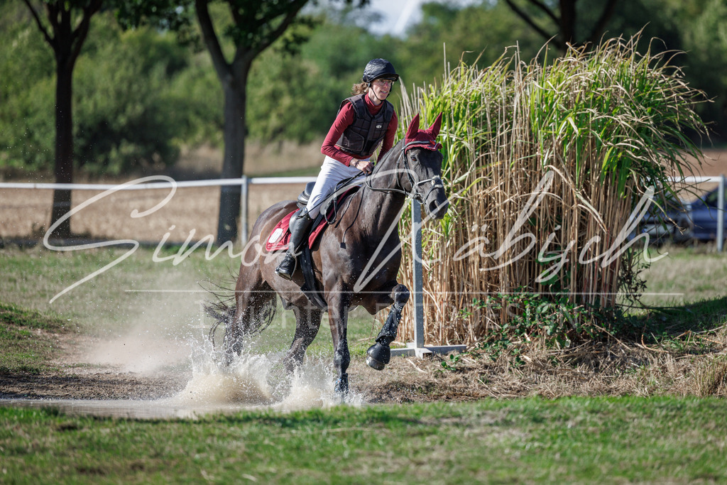 20260905-_3LI0224 | Tierfotografie Pferde, Hunde, Katzen, Haustiere.
Turnierfotografie Reitturniere, Reiten, Springreiten, Dressur in Hanau, dem Main-Kinzig-Kreis und dem Rhein-Main- Gebiet um Frankfurt