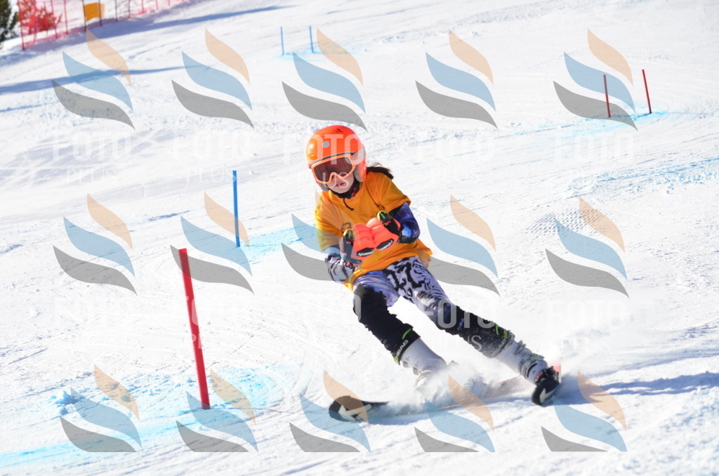 C6083 | holidayphoto