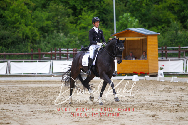 DKP47994 | Turniersportfotografie; Pferdefotografie; Dressurfotografie