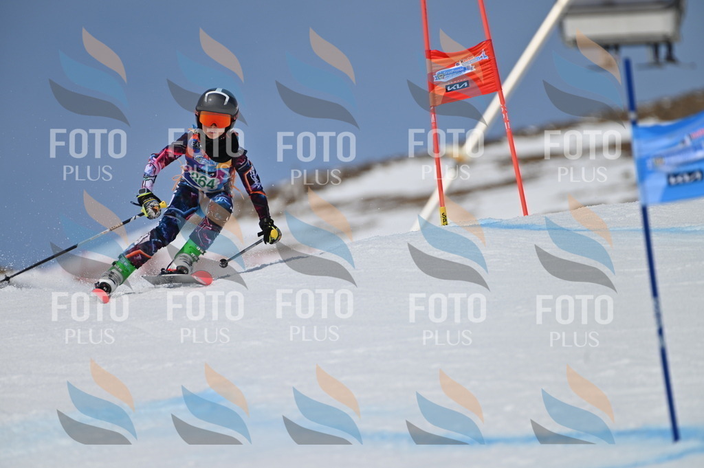 BGV_7184 | holidayphoto