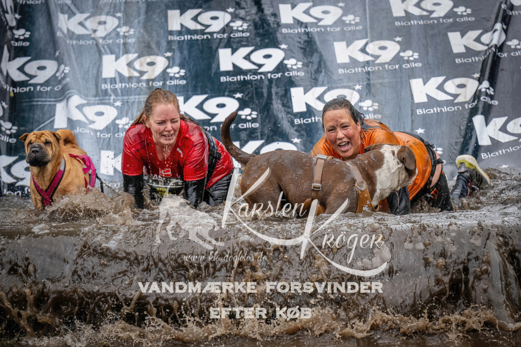 1237_ZZ90331 | kk-dogfotos