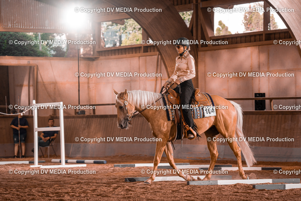 NE300017 | dv-media-shop - Realisiert mit Pictrs.com