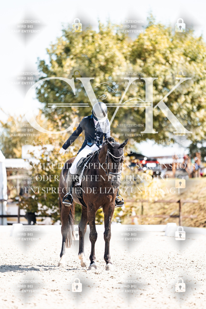 CK903487 | Turnierfotografie Pferdefotografie Trier Rheinland-Pfalz Pferdesport Reitsport Tierfotografie Sportfotografie Pferdevideo Pferdevideografie Equestrianvideography equestrianphotography  - Realisiert mit Pictrs.com