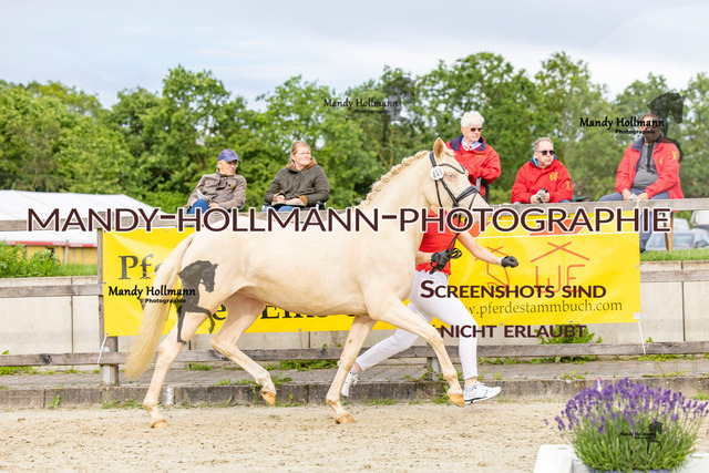 56 (47 von 48) | mandyhollmannphotographie