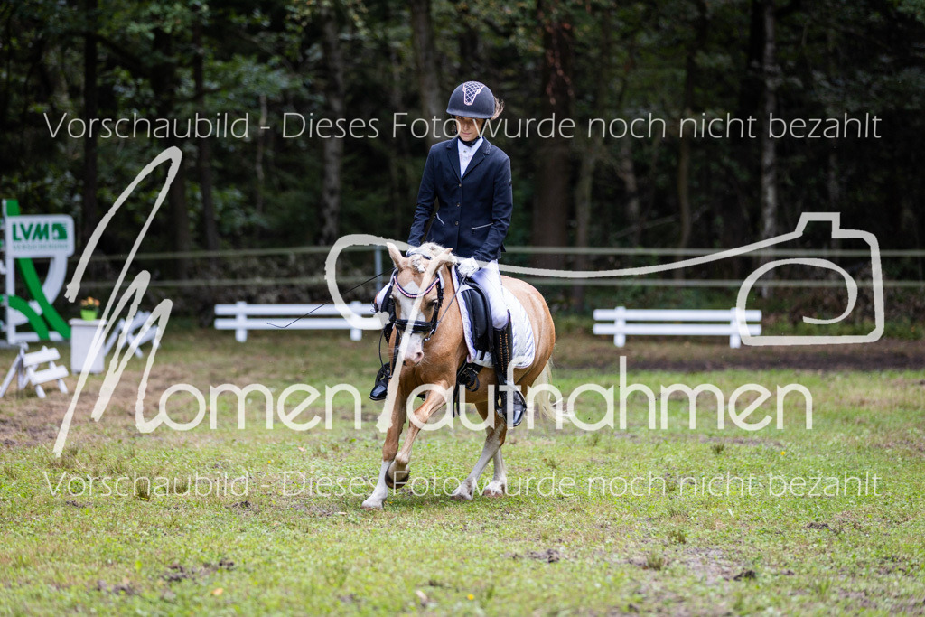 HB-Dressur-WB-005 | MomenTaufnahmen Pferdesportfotos