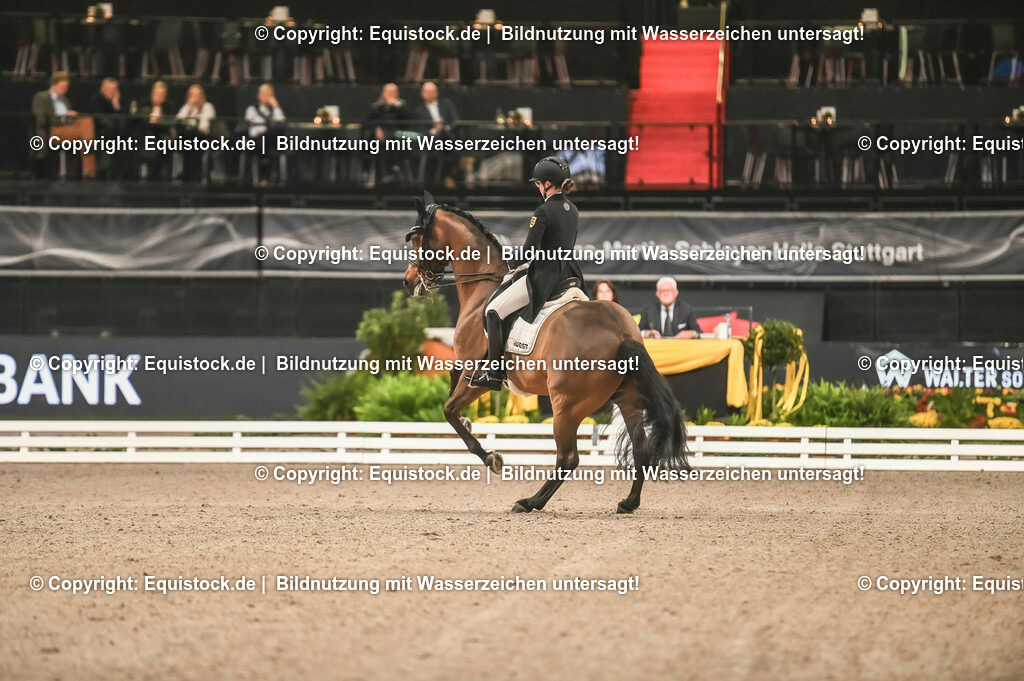 20231115_20_Dressur_Kl-S++_0085_TOMsPiC | Foto: Thomas Hartig