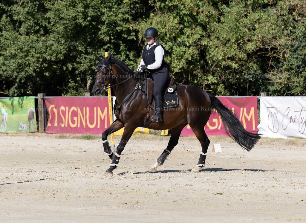 WL_Speed_58_KerstinBernhardt | working equitationturnier fotograf videograf stoibphotography marixx film working equitation deutschland reitsport turnierfotografie eventfotografie equestrian events