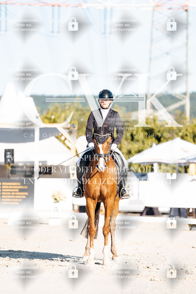 CK907267 | Turnierfotografie Pferdefotografie Trier Rheinland-Pfalz Pferdesport Reitsport Tierfotografie Sportfotografie Pferdevideo Pferdevideografie Equestrianvideography equestrianphotography  - Realisiert mit Pictrs.com
