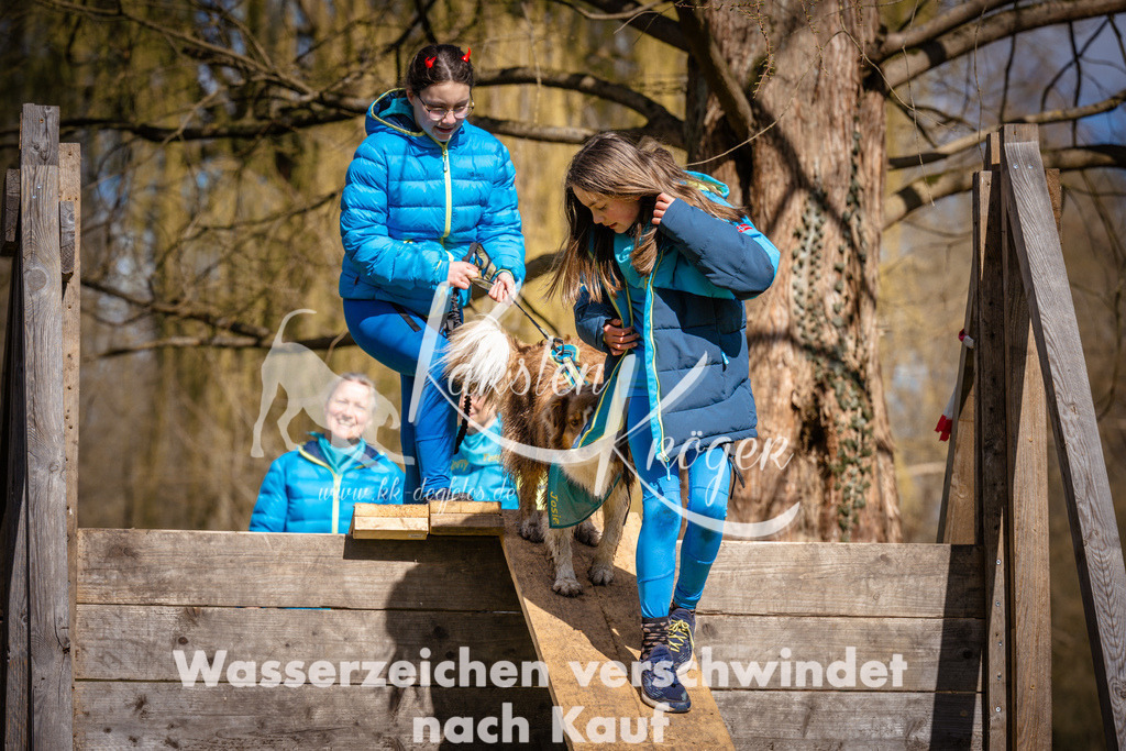1038_ZZ98355 | kk-dogfotos