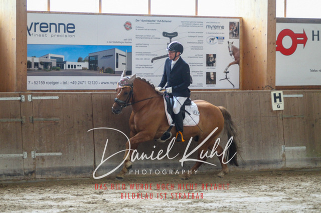 DKP44118 | Turniersportfotografie; Pferdefotografie; Dressurfotografie