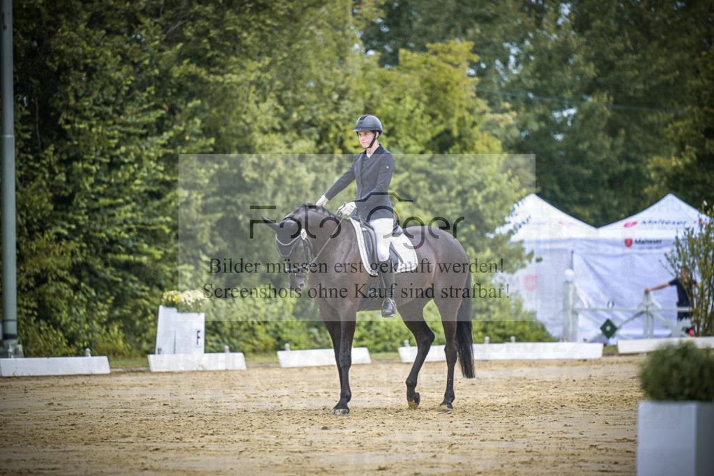 DOS_1450 | Entdecke hochwertige Reitturnierfotos von Foto Oger. Professionell, emotional und authentisch – jetzt Lieblingsmomente im Shop bestellen.Deutschlandweite Turnierfotografie. - Realisiert mit Pictrs.com