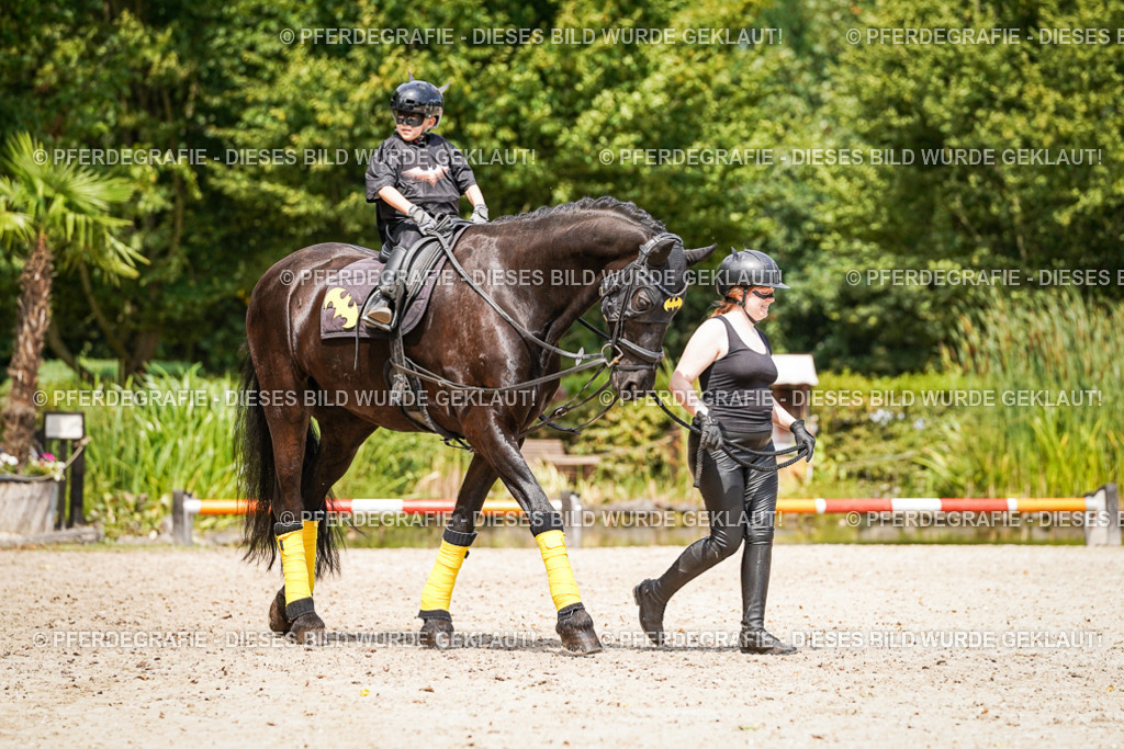 DSC03140 | Pferdegrafie