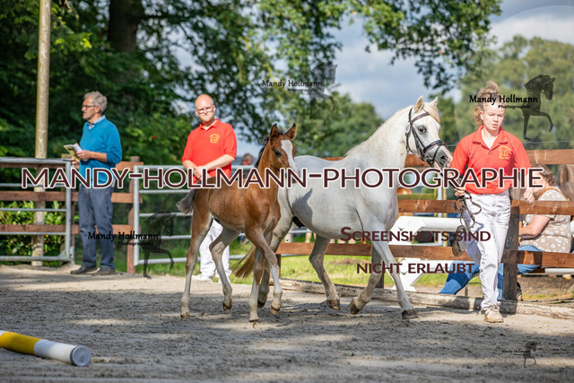 IMG_4152 | mandyhollmannphotographie