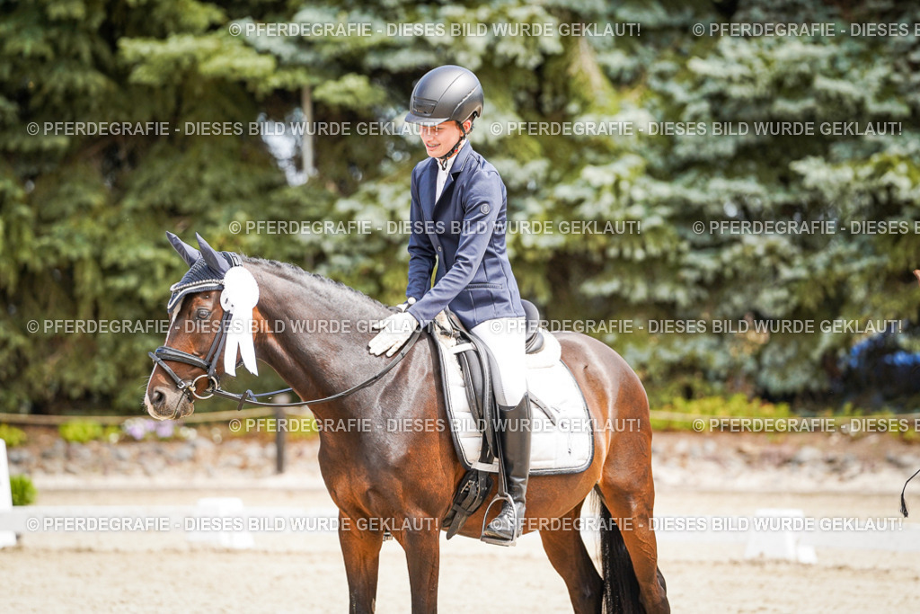 DSC02641 | Pferdegrafie