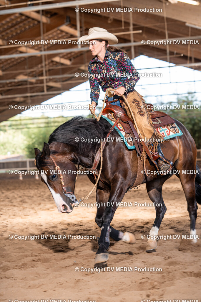 Erbach Tag 1-1128 | dv-media-shop - Realisiert mit Pictrs.com