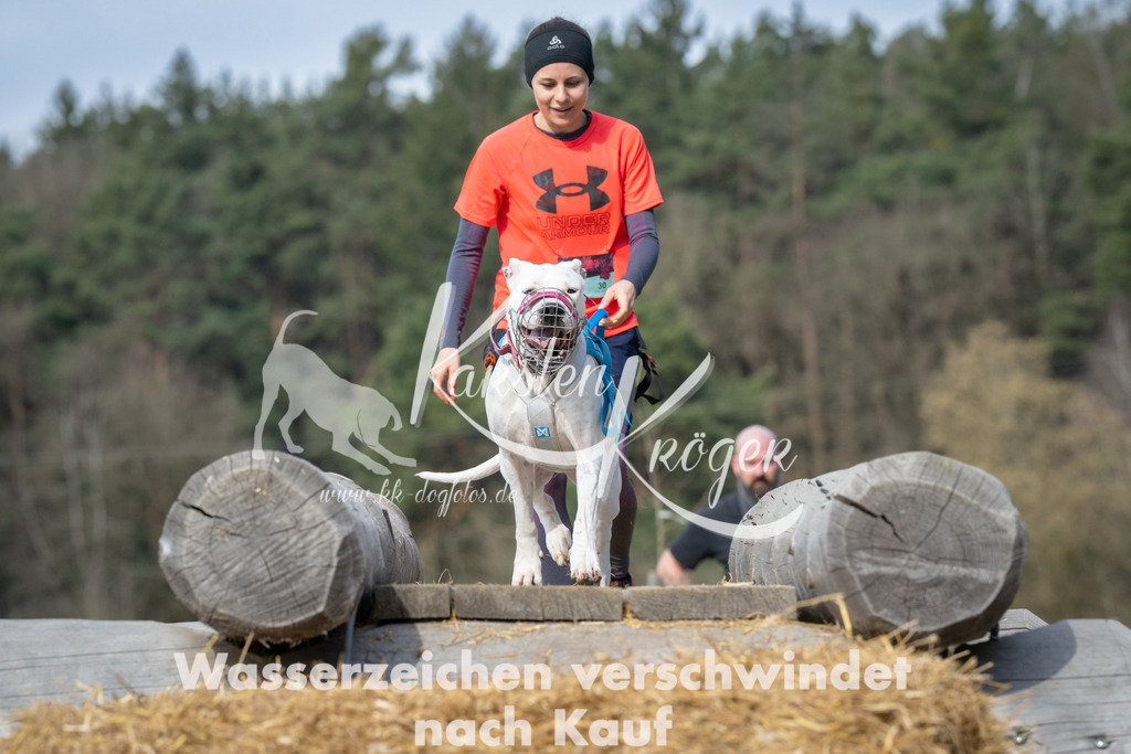 1034_ZZ92658 | kk-dogfotos