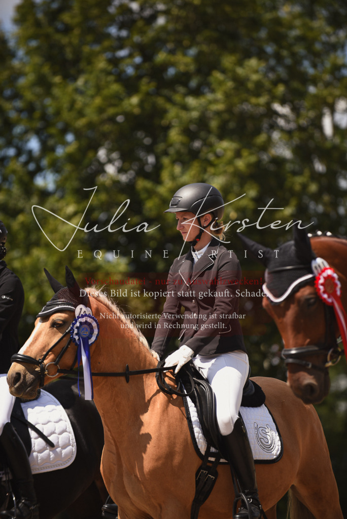 DSC_1614 | Pferde- und Turnierfotografie in Westsachsen. Pferdeportraits, Auftragszeichnungen und intuitive Kunst.