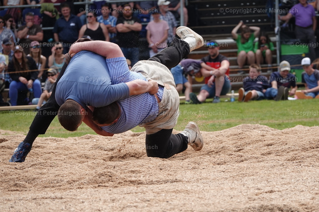 DSC04624 | Schwingen - Realisiert mit Pictrs.com