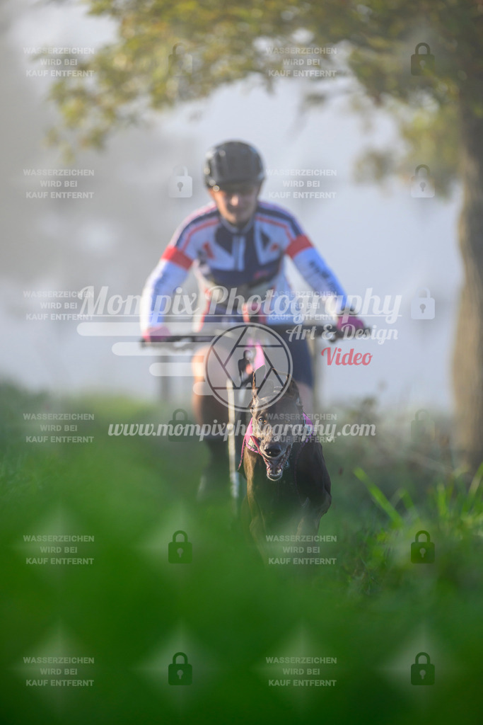 MompixPhotography_20TSB_E3_Bike-41 | PayLife
