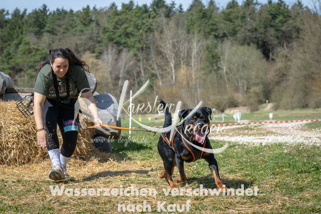 1218_ZZ99167 | kk-dogfotos