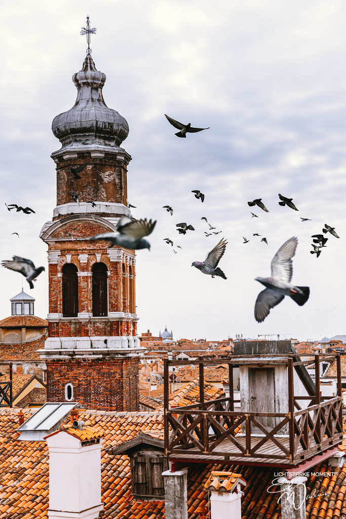 20220311-113507 ITALIEN-Venedig_156-1 Kopie | Herzlich willkommen auf meiner Seite! Ich bin Elke Wallnisch, Deine Fotografin für lichtstarke Momente. Der Name steht für alles, was mich mit der Fotografie verbindet: Das Licht und seine machtvolle Wirkung auf eine Situation oder unsere Stimmung - Realisiert mit Pictrs.com