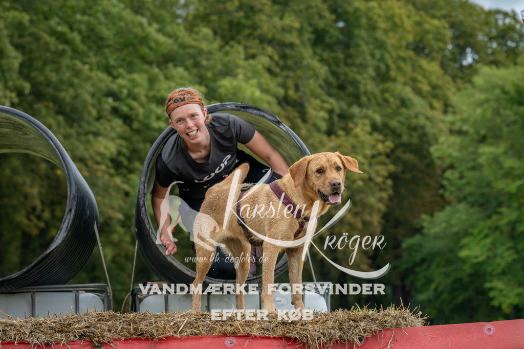 1128_ZZ94309 | kk-dogfotos