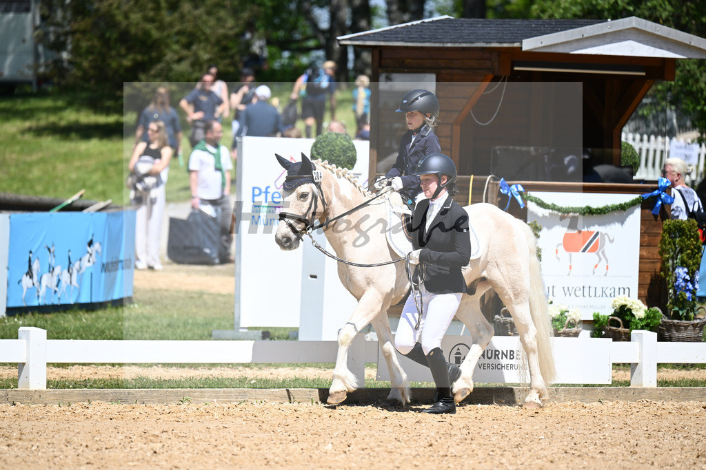 Pony-Fuehrzuegel-WB Nuernberger Burg-Pokal_12245722 | hf-fotografie - Realizzato con Pictrs.com