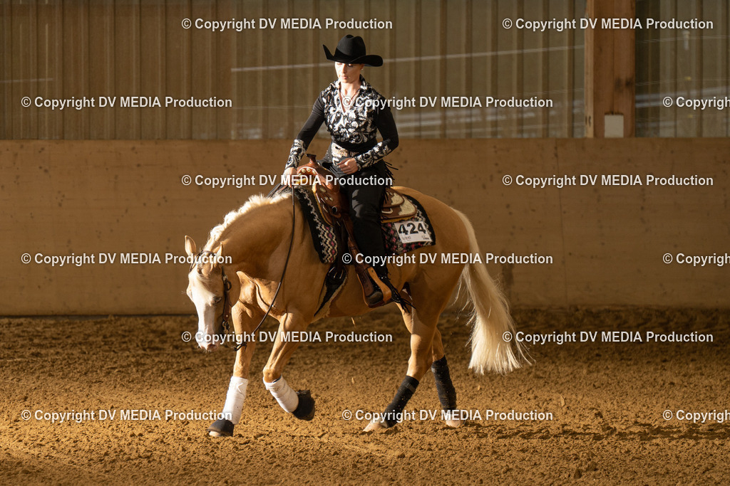 LAU01055 | dv-media-shop - Realisiert mit Pictrs.com