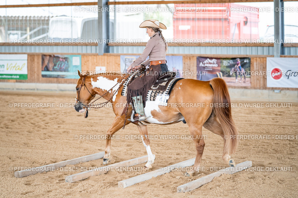 DSC09018 | Pferdegrafie