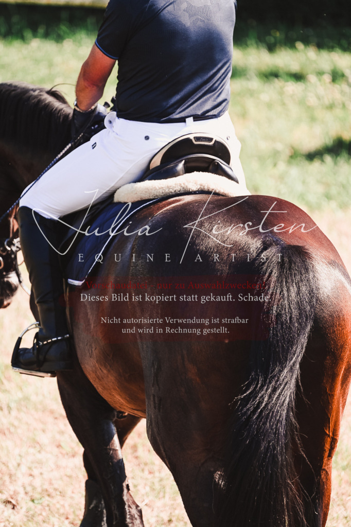 DSC_2135 | Pferde- und Turnierfotografie in Westsachsen. Pferdeportraits, Auftragszeichnungen und intuitive Kunst.