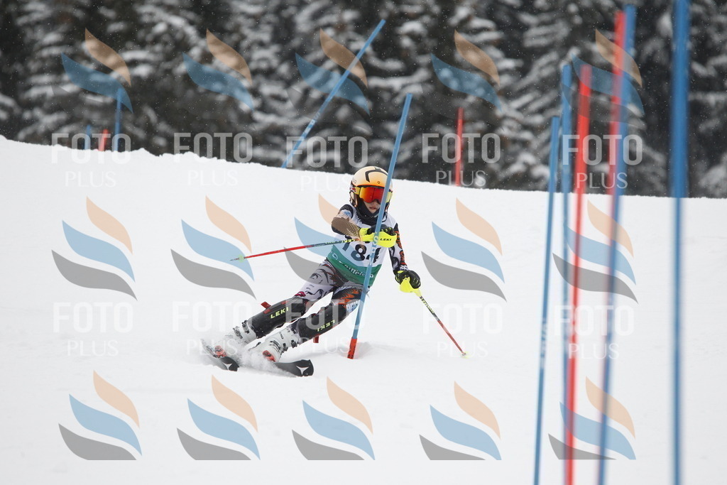 A2146 | holidayphoto