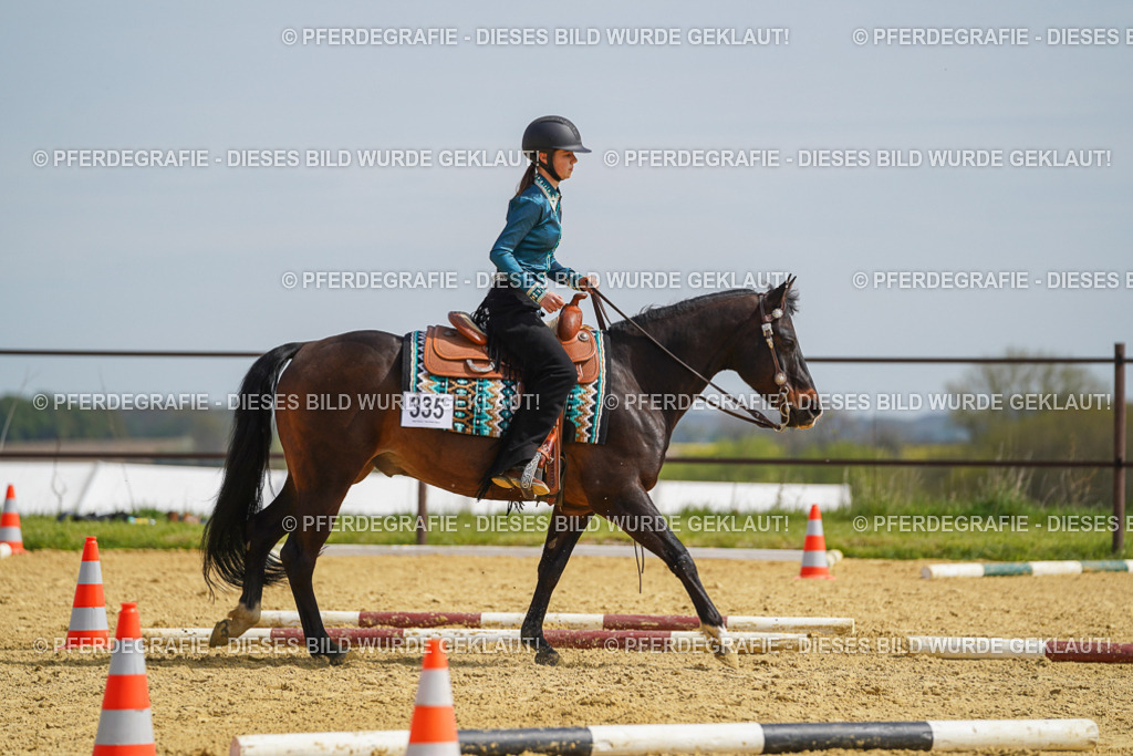 DSC04306 | Pferdegrafie